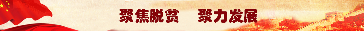 43cda4110c5e8c15176d6dce3c39ff3c
